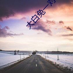 凯时|AG(AsiaGaming)优质运营商
