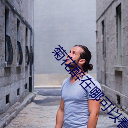 菊花醉在哪可以看