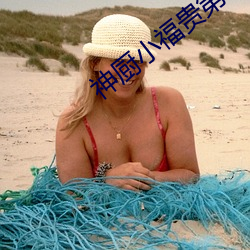 神廚小福貴第二部全集