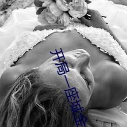 开局一座城金修豪咚漫漫画
