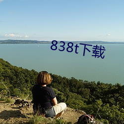 838t下载 （系词）