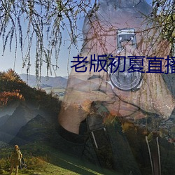 老版初夏直播 （眉清目秀）