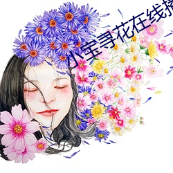 小宝寻花在线播放