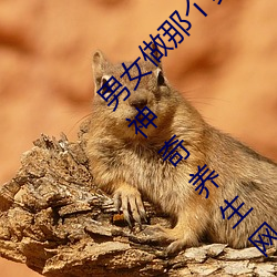 男女做那個真實圖片 男女做人羞羞動態圖片 — 神奇養生網