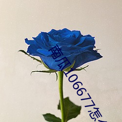 南瓜106677怎么下载