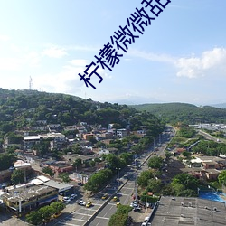 柠檬微微甜