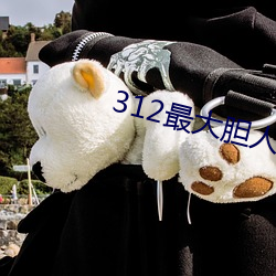 312最大胆人人体图片欣赏 （窍门）