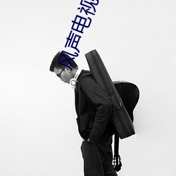 风声电视剧未删减完整版免费观看