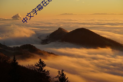 尊龙凯时-人生就是搏!