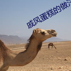 戚風蛋糕的做法視頻