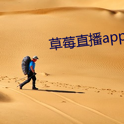 草莓直播app下载安装