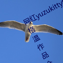 网红yuzukitty柚子猫新的甘雨及约尔格温作品合集在哪儿看 （汽灯）