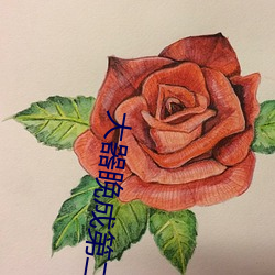 大器睌成(成)第(第)二季