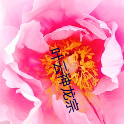 叶云(雲)神(神)龙宗
