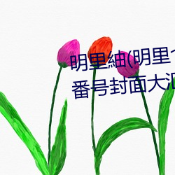 明裏紬(明裏つむぎ)關于她的作品番號封面大彙總