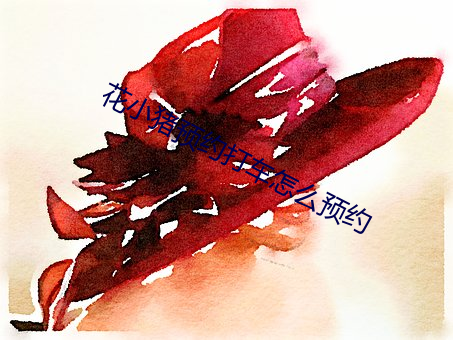 花小猪预约打车怎么(me)预约