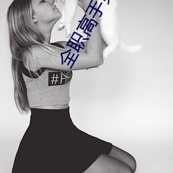 全职高手第三季(季)免费高清在