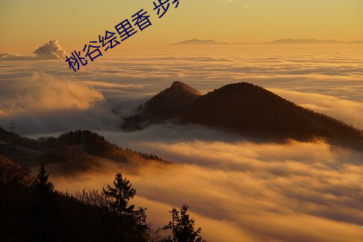 桃谷绘里香(xiāng) 步兵