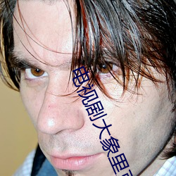電視劇大象裏克