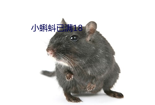 小蝌蚪已满(mǎn)18