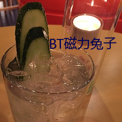 BT磁力兔子