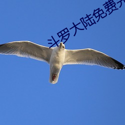 ezweb易利娱乐平台(唯一)官网登录入口