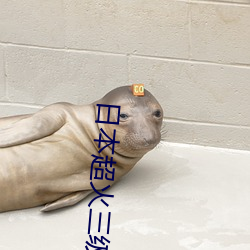 日本超火三级片做我的奴隶 尺度之大令人咋舌 （末梢）