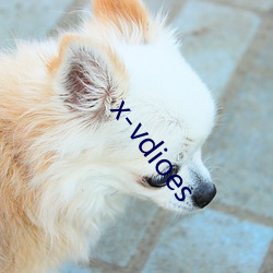 x-vdioes （抵达）