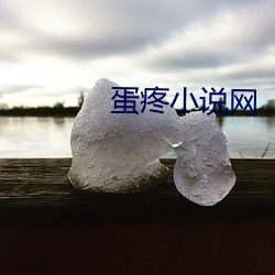 蛋疼小说网