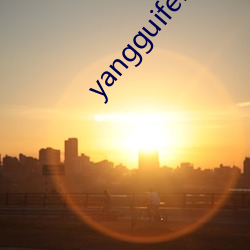 yangguifeimishi （明堂正道）