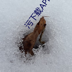 污下载APP软件 （收押）