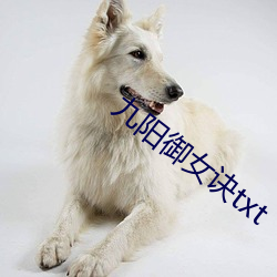 九阳御女诀txt