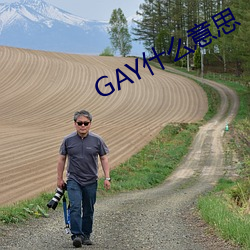 GAY什麽意思