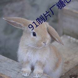 91制片廠糖心vlog玩偶無限制開啓