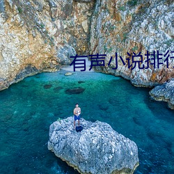 有声小说排行榜