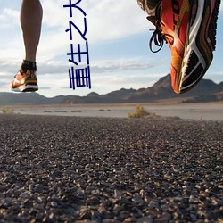 重生之大枭雄 （高人一等）