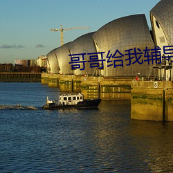 哥哥给我辅导作业突然