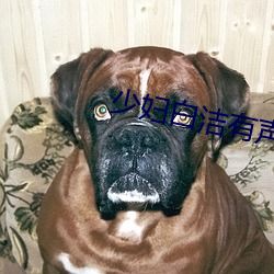 少妇白洁有声小说