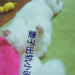 妻子出軌小說
