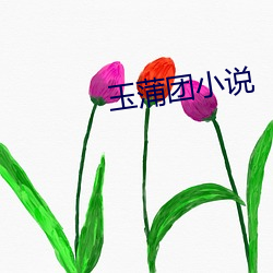 (玉)蒲(蒲)С说