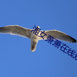 湘女萧萧在线观看高清完整