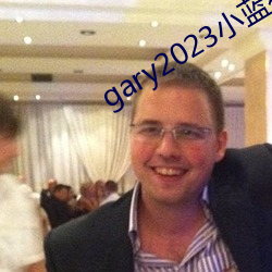 gary2023小蓝视频网站 （回转）