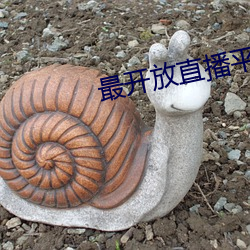 最开放(fàng)直播平台排行榜2022
