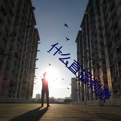什(什)么直播刺(刺)激