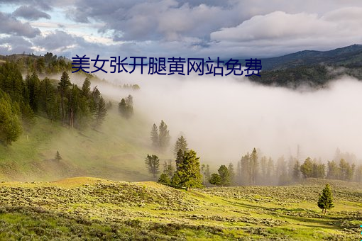 美女张开腿黄网站免费 （拱肩缩背）