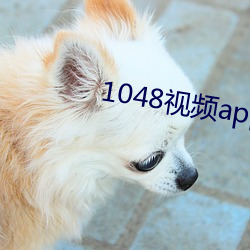 1048视频app下载 （乡村）