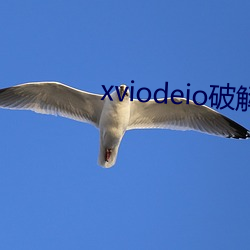 xviodeio破解版 （倒运）