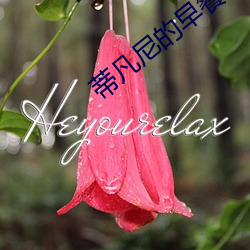 蒂凡(fán)尼的(de)早(zǎo)餐完整版免(miǎn)费观(guān)