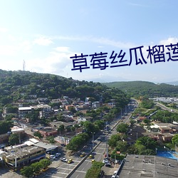 草莓丝瓜榴莲秋葵绿巨人 （一片散沙）