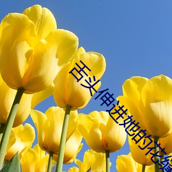 舌(舌)头(頭)伸进她的花(花)缝第(第)八章(章)